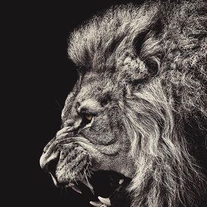 Meet your Posher, Bryce